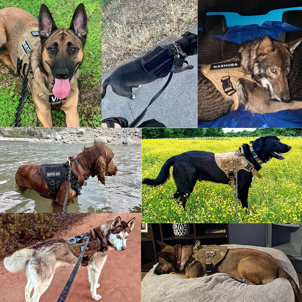 military tactical dog harness for German Shepherds and large dogs, padded quick-release nylon vest for training and outdoor use