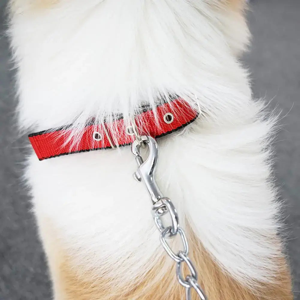 adjustable nylon dog collar red pet neck strap with traction ring and chain leash for dogs