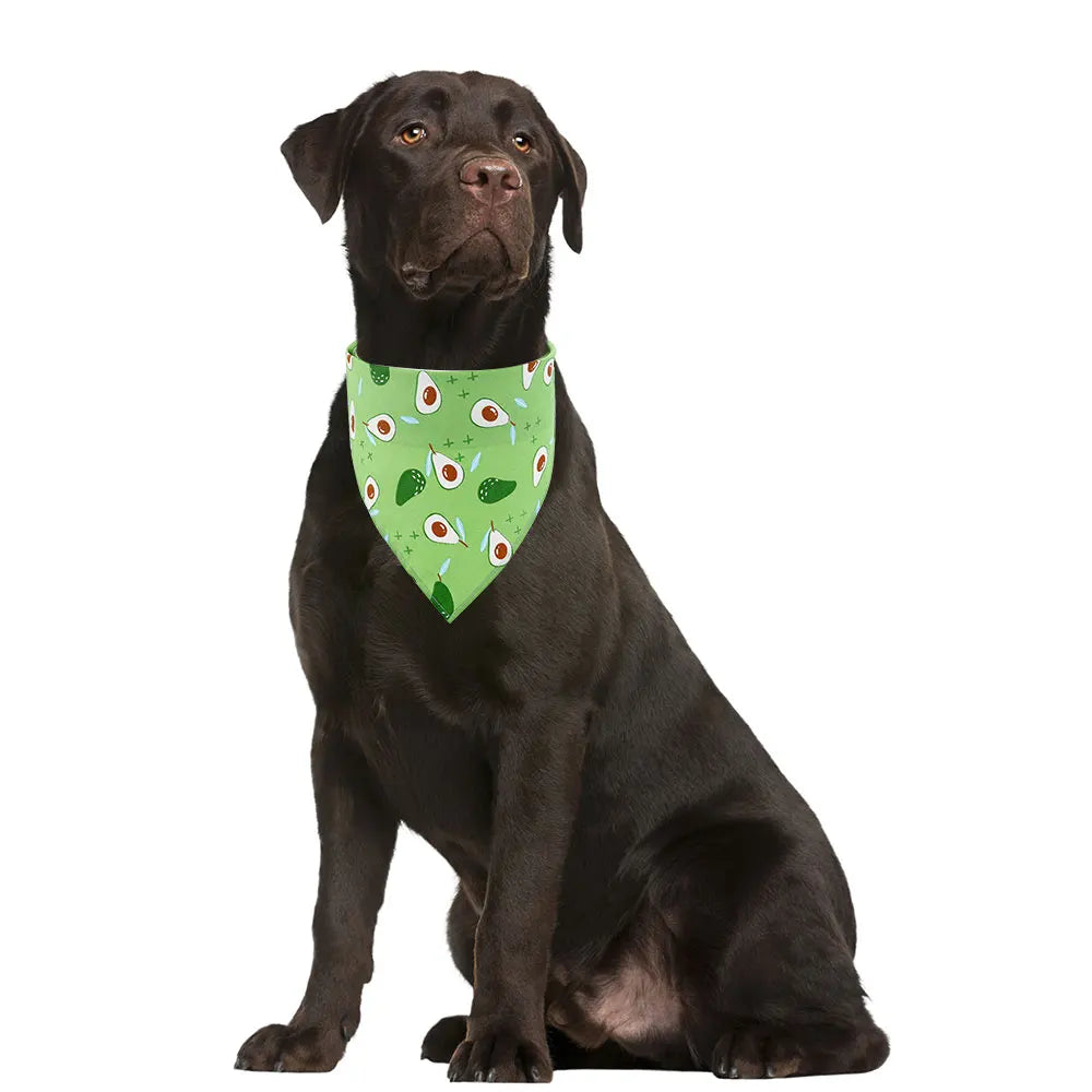 Black dog wearing a green avocado print bandana, sitting on white background