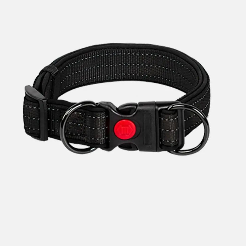Se386ac0669294e05812fe3b7641479bck - bestdoggylife.shop