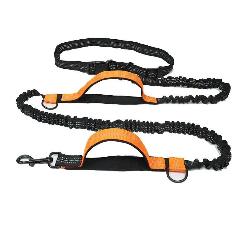 Se3976963cabf47b6a6e6d0da14acaec6x - bestdoggylife.shop