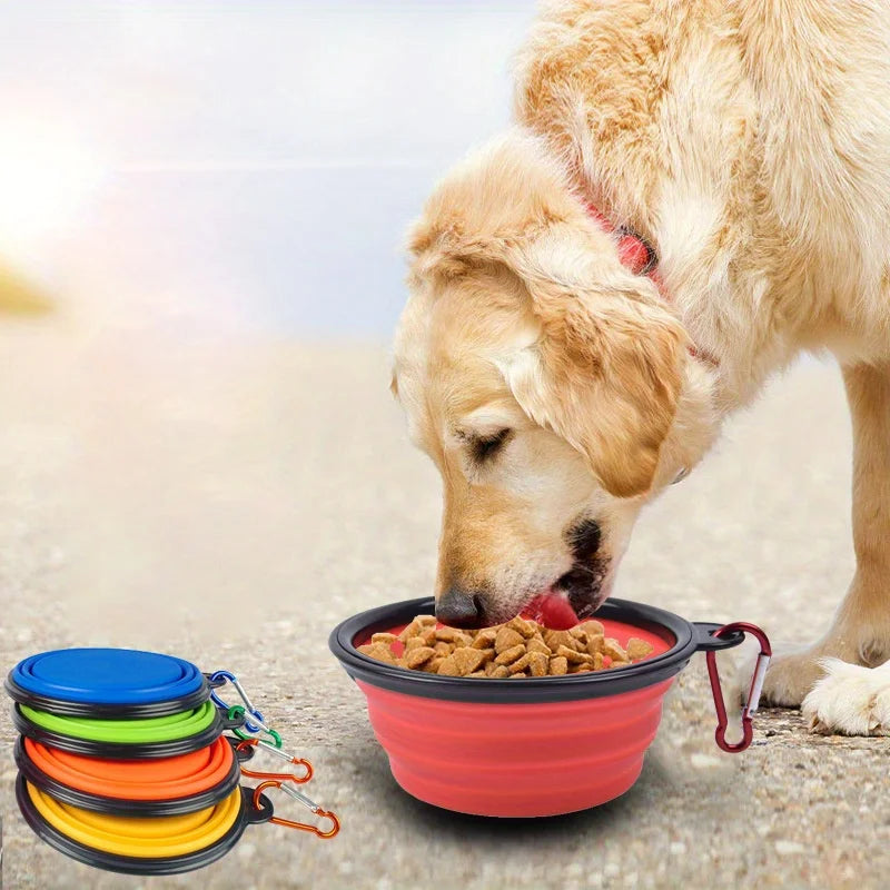 Dog using a portable dog travel bowl for outdoor feeding, with collapsible silicone bowl set shown beside it