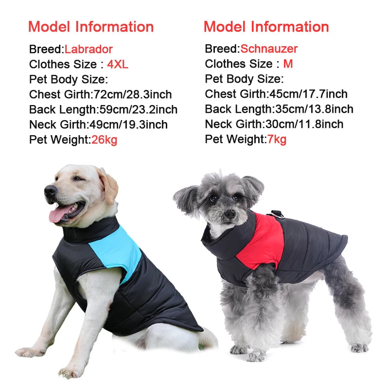 Sec43d018499e4d72a6c384db78a17ac3v - bestdoggylife.shop