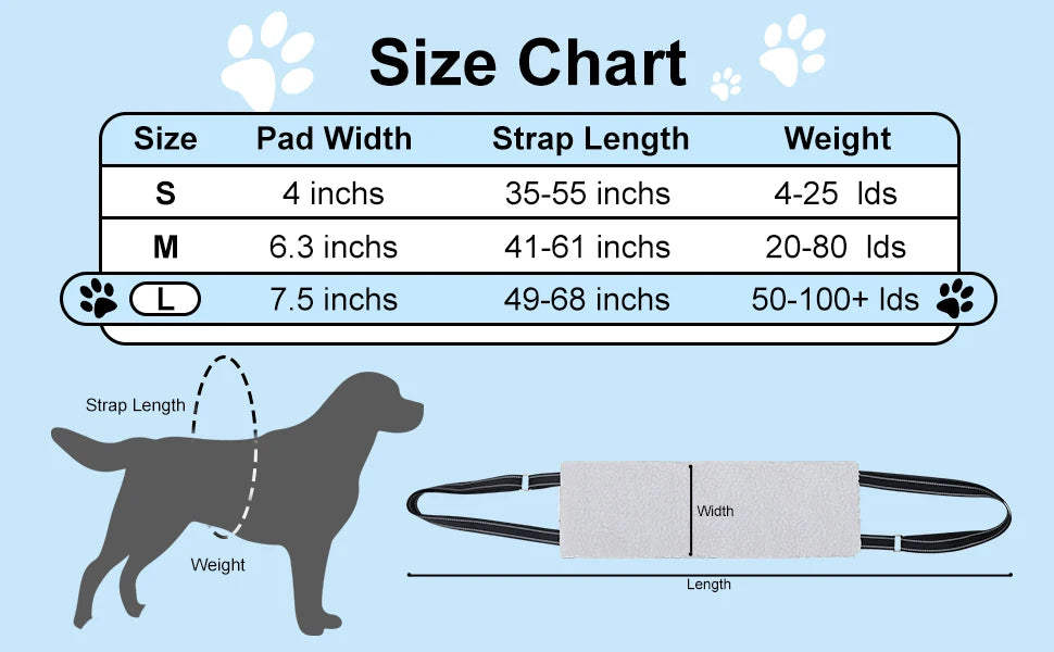 Secfccd445e6a4dffb4a52c908d5e6549s - bestdoggylife.shop