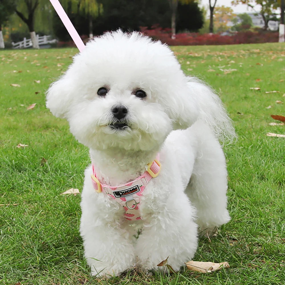 Puppy print dog harness and leash set, cute pink adjustable padded vest for small dogs walking outdoors