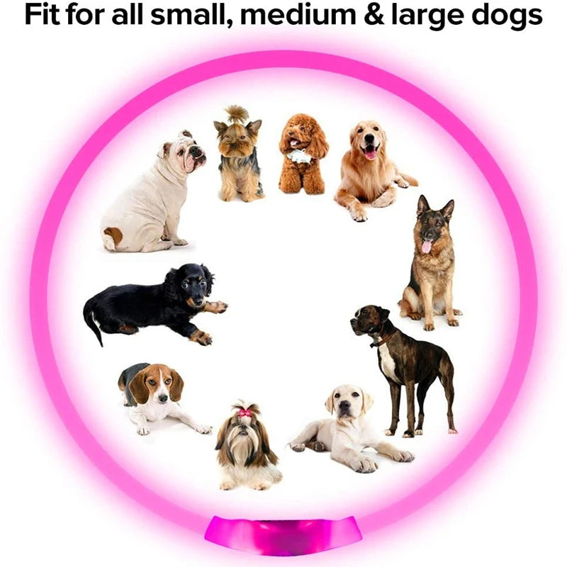 Sf39b757feff0460ea5cd336af0ae21eev - bestdoggylife.shop