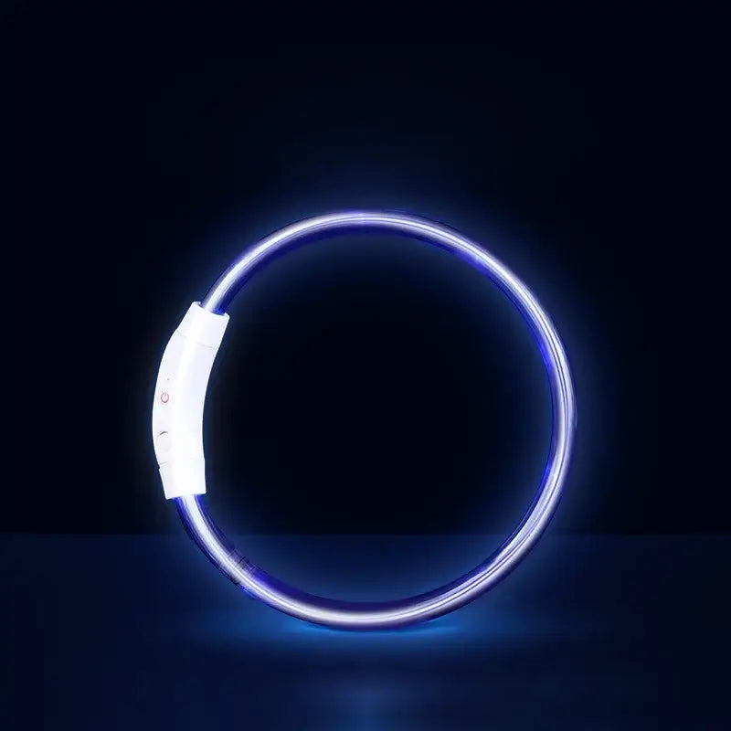 Blue LED dog collar, USB rechargeable luminous pet necklace for S/M/L dogs, bright night safety anti-lost accessory