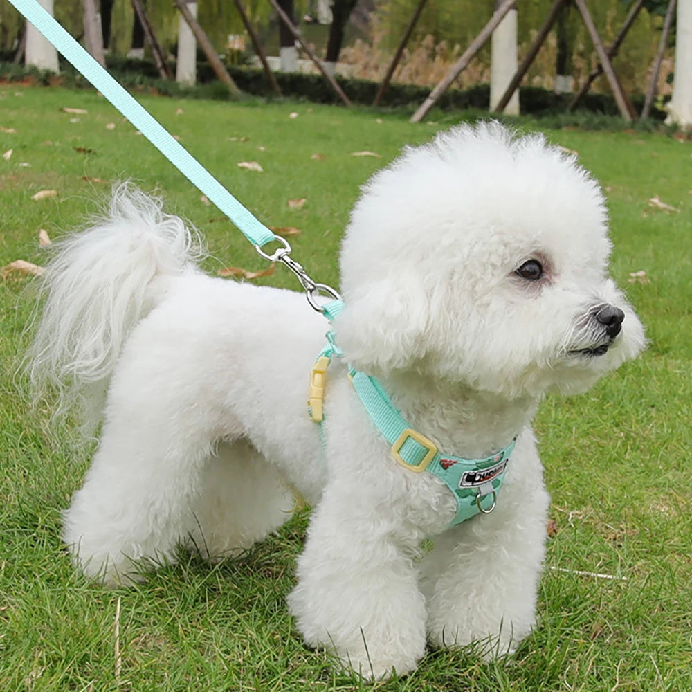 puppy print dog harness and leash set for small dogs, cute adjustable soft padded vest in mint blue