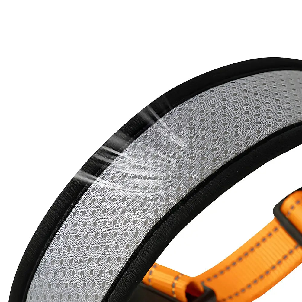 Reflective adjustable dog collar with breathable mesh and durable black trim for small, medium, and large dogs