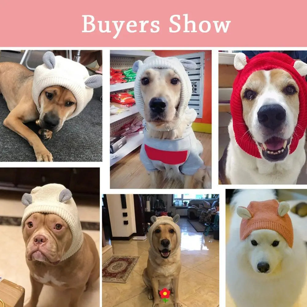 Sf82aa957c34a4f8688364bd91f6c5d7dL - bestdoggylife.shop