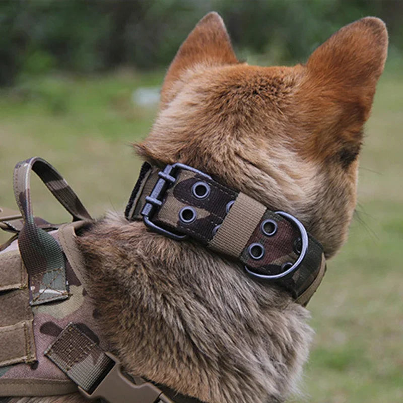 reflective tactical dog collar for heavy duty training, adjustable nylon military collar for German Shepherds