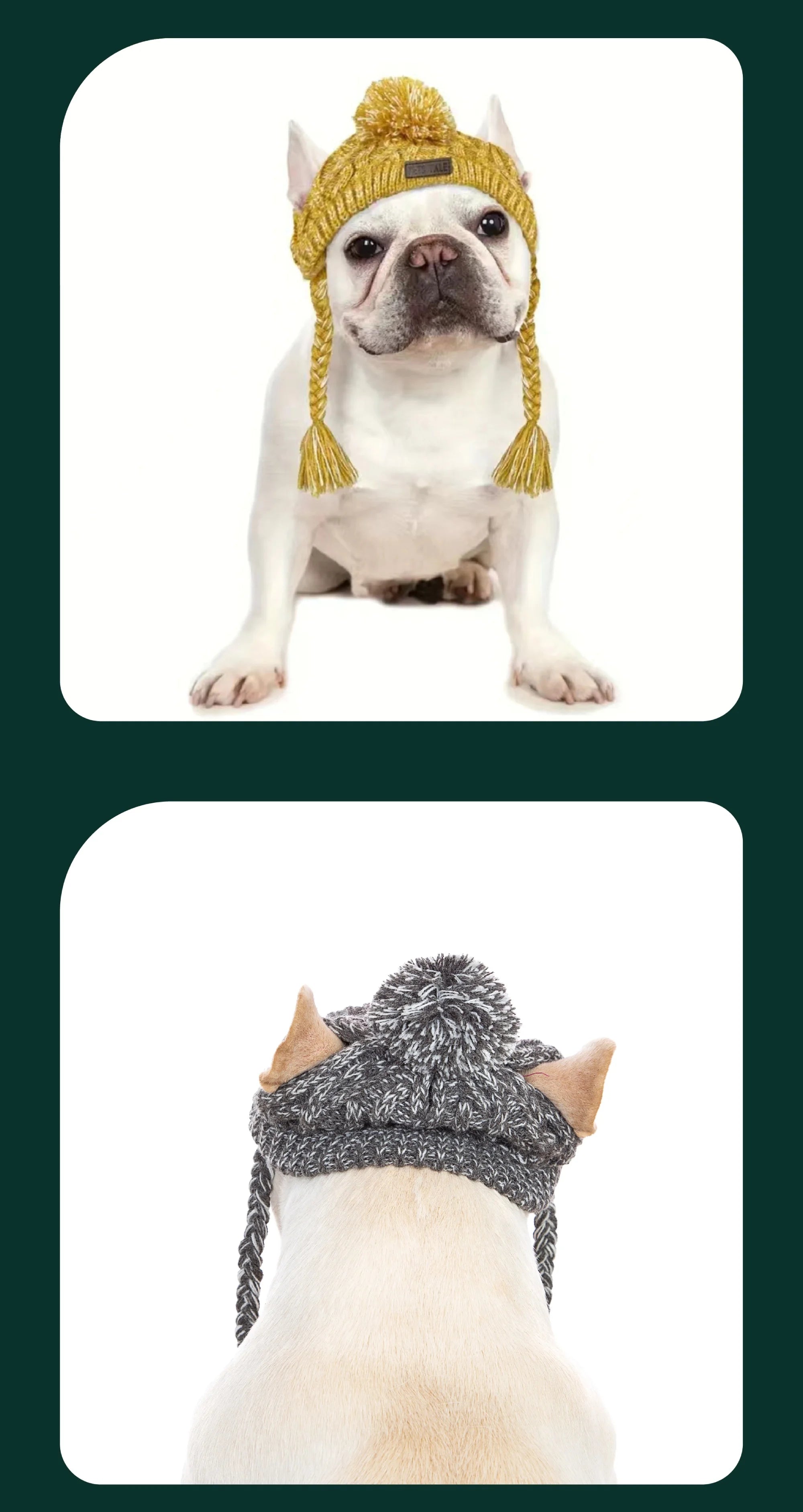 Sf962702dc5cc41f38ece8b7f5c0251ca1 - bestdoggylife.shop