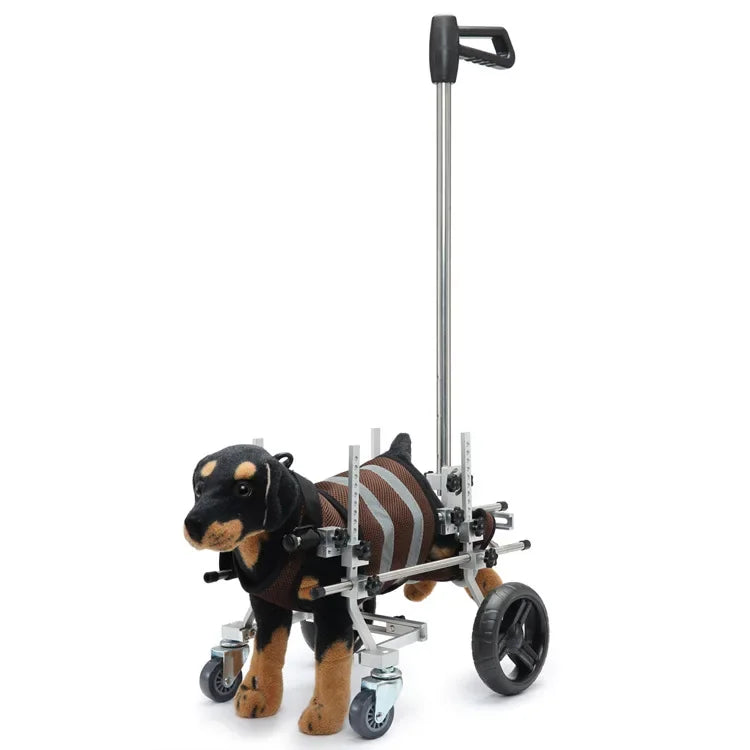 Sf9b94744a0f44d7dacc1dac4af27a965t - bestdoggylife.shop