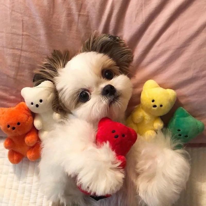 small dog squeaky toy plush bear for puppies and cats, cute fleece pet toy for Pomeranian, Shih Tzu, and Pug