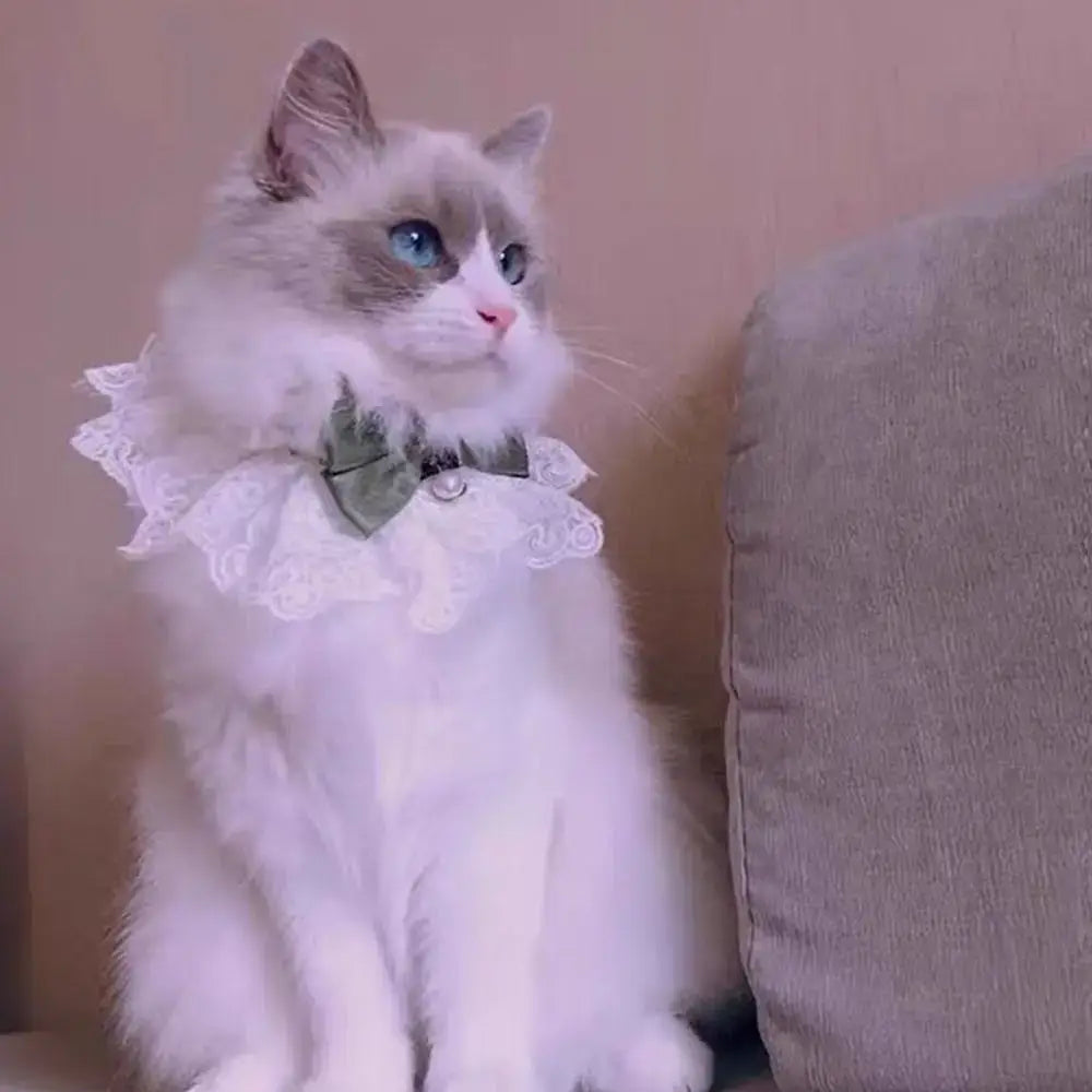 Pet Scarf Accessories Cat Necklace Dog saliva towel Dog Neckerchief Pearl Collar Lace Bowknot Puppy String Bib