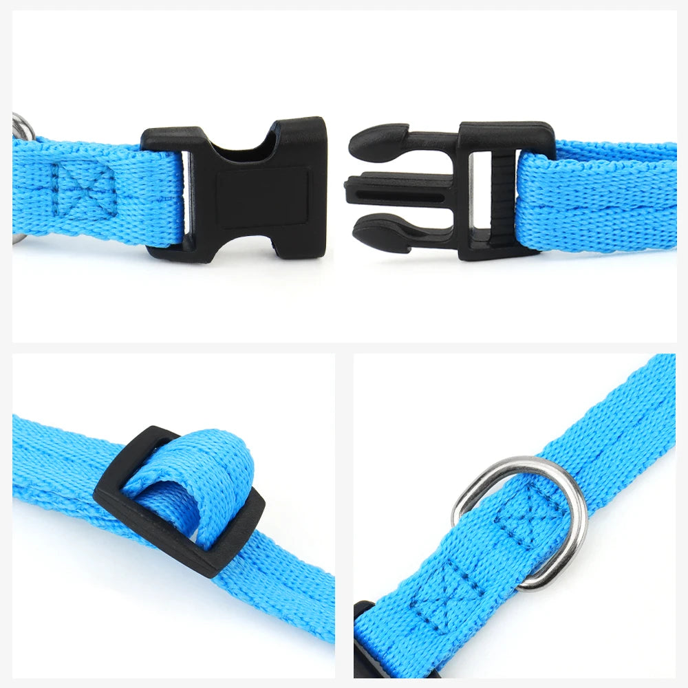 adjustable nylon dog collar with quick-release plastic buckle and durable blue webbing for small, medium, and large dogs