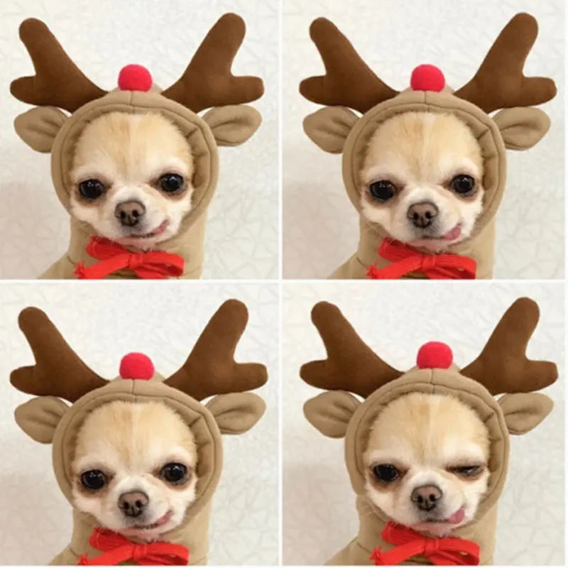 Sffca61f796c74c54bacdf7c615b7036bM - bestdoggylife.shop
