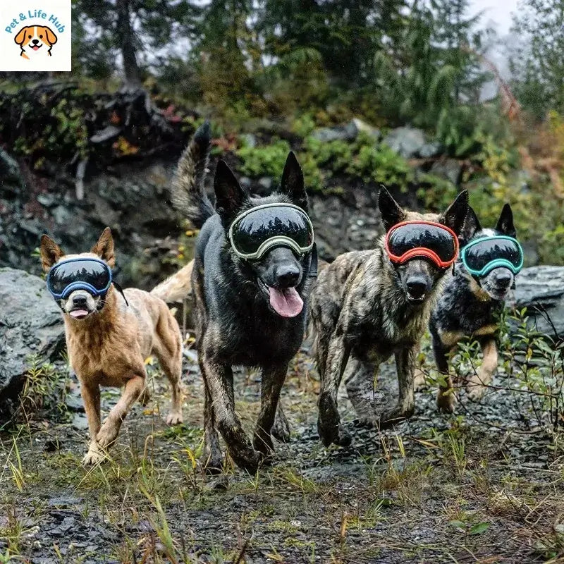 adjustable dog goggles for small and large breed dogs, anti-UV windproof pet sunglasses for outdoor adventures