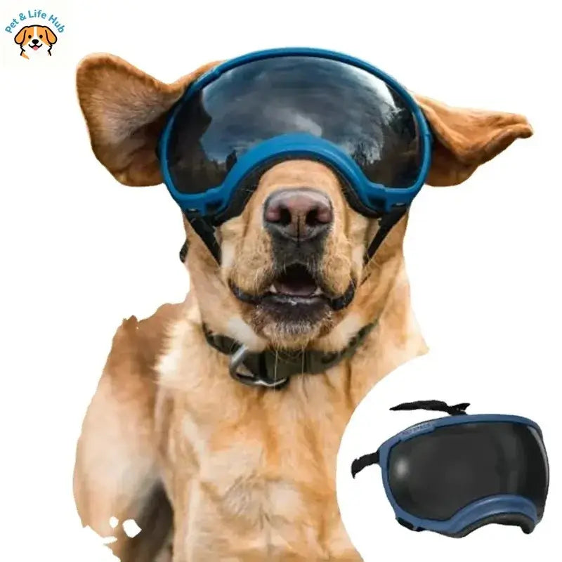 adjustable dog goggles for small and large breed dogs, anti-UV, wind and dust proof pet sunglasses