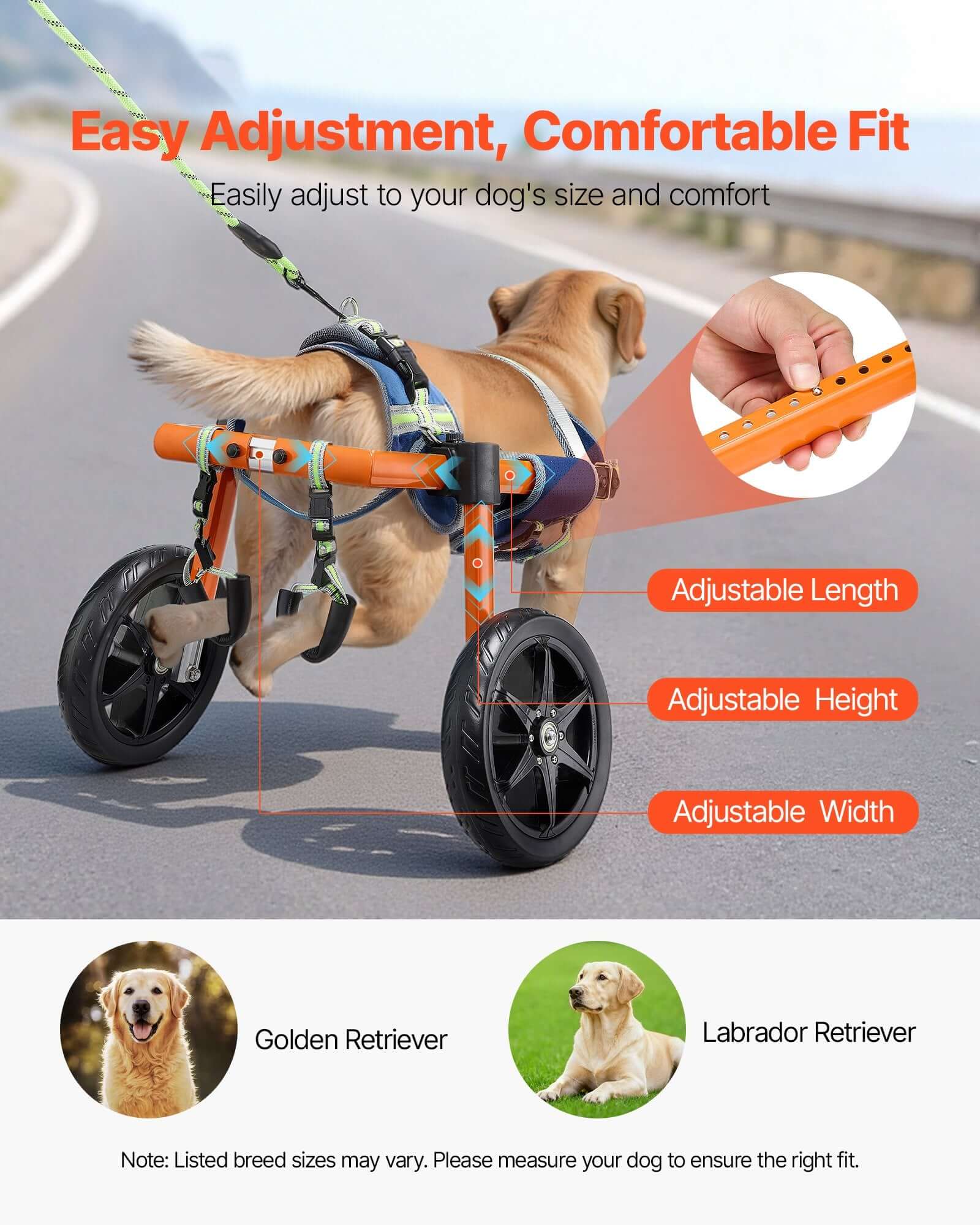 Medium dog wheelchair for back legs, featuring adjustable height, length, and width for optimal fit and comfort.