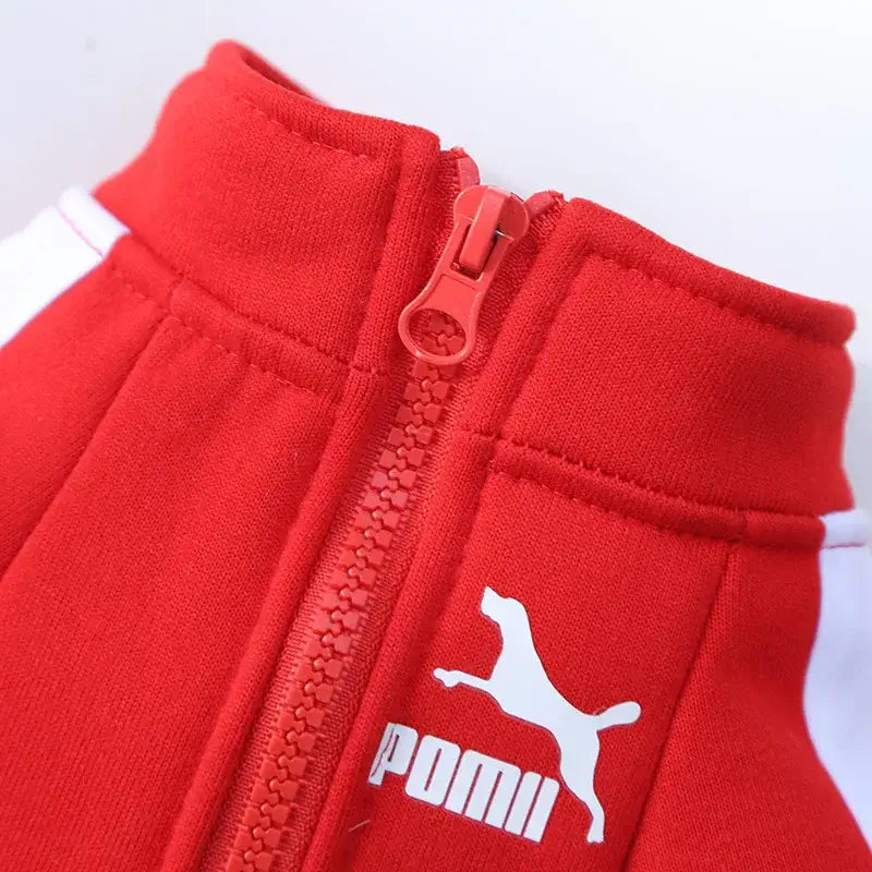 Red baseball dog jacket with zipper and PUMA-style logo for small dogs, puppy vest for autumn and winter
