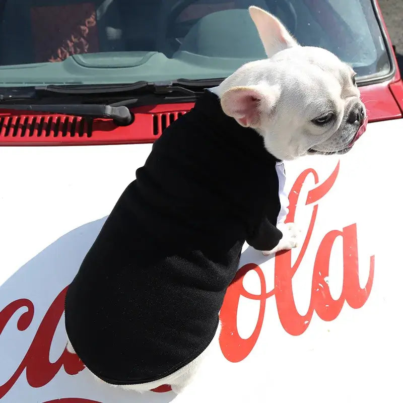 Baseball dog jacket for small dogs, black winter pet vest on a white French Bulldog