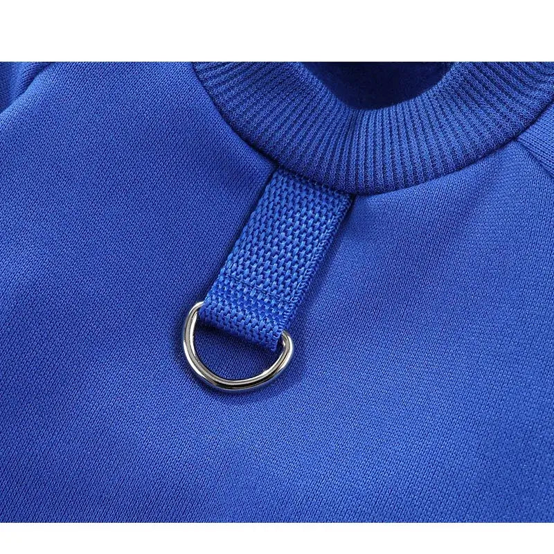 dog winter hoodie blue pet sweatshirt with durable leash ring for small dogs and puppies