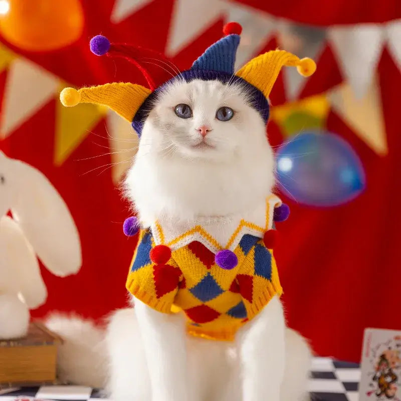 Cute cat in dog sweater with hat set wearing plaid jester costume for autumn winter pet fashion