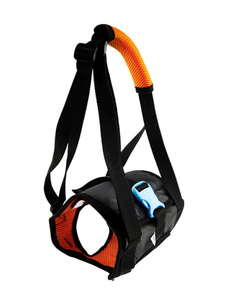 Disabled dog walking assist harness portable belt for comfort and support.