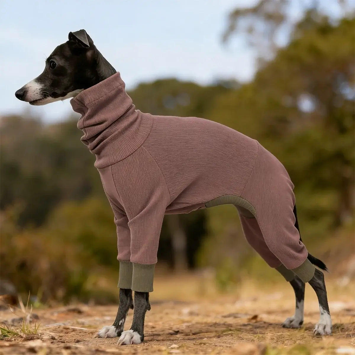 dog fleece jacket warm pink 4-leg fleece coat for greyhounds and small-neck dogs, solid, comfortable, Zhejiang