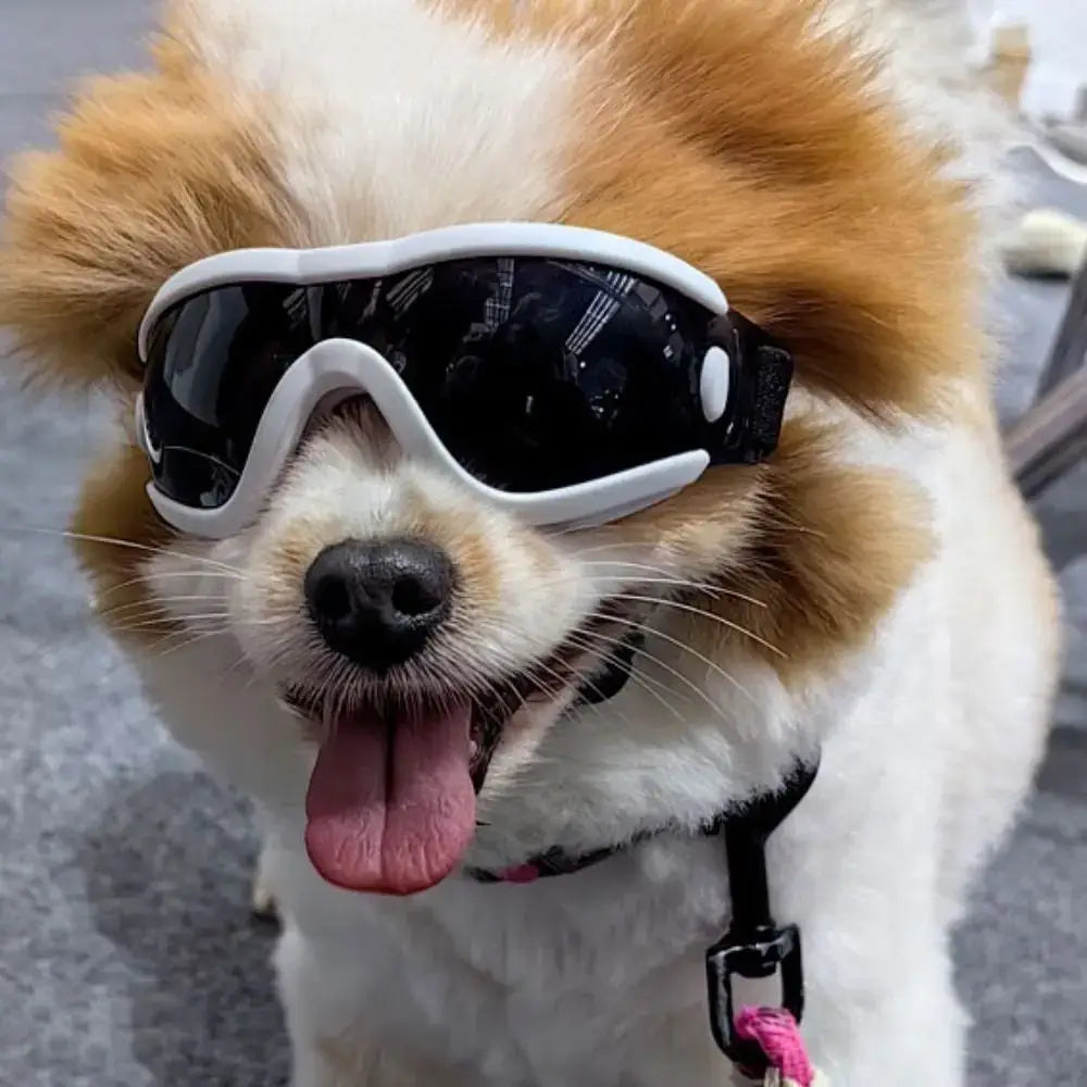 Dog sunglasses with adjustable strap, windproof UV resistant dog goggles for outdoor sports and all-season pet eye protection