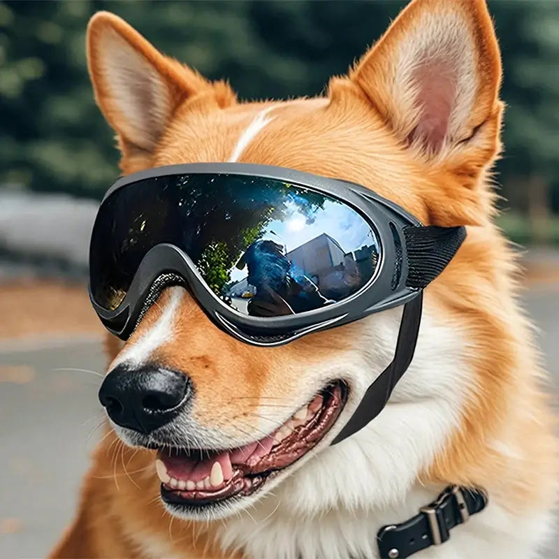 dog sunglasses for medium large breeds, adjustable UV protection goggles for outdoor riding and driving