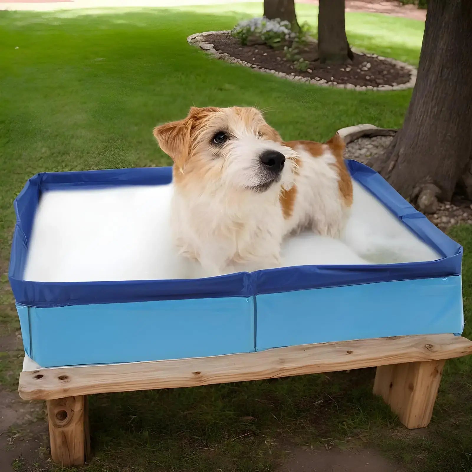 Dog kiddie folding pool with a happy dog inside, designed for small pets, easy to transport and store.