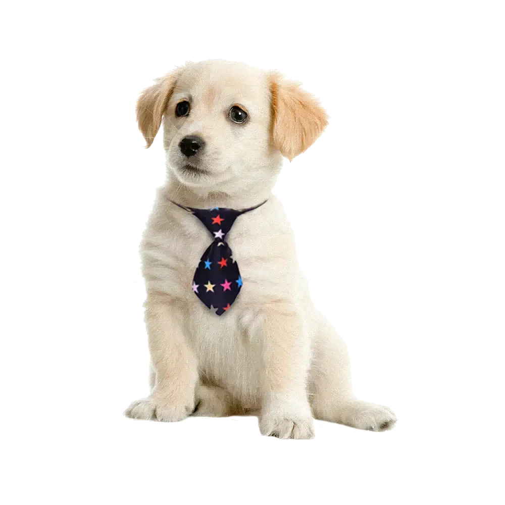 30/50PCS Dog Grooming Pets Dogs Neckties Small Dog Bowties Dog Grooming Accessories For Large Dogs Ties Pet Supplies