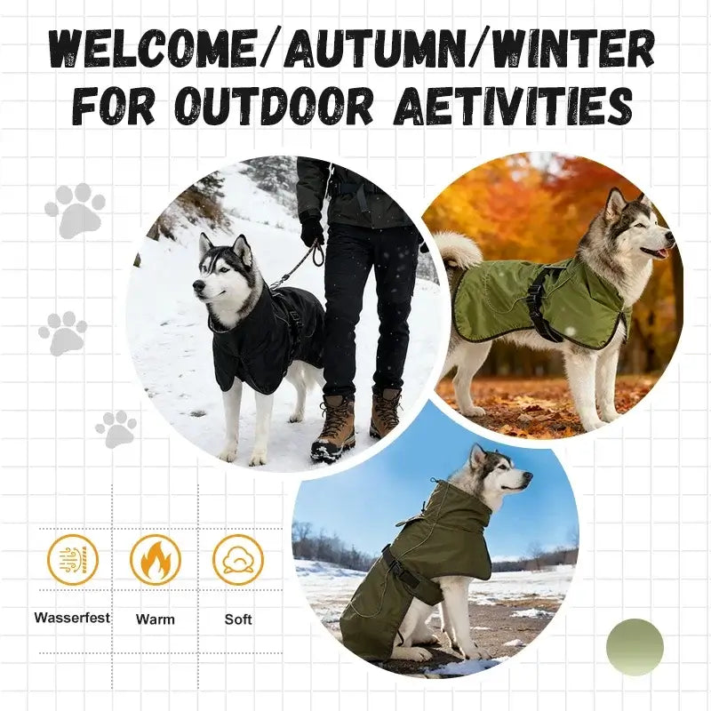 waterproof dog raincoat for outdoor autumn and winter activities with reflective strip and adjustable straps