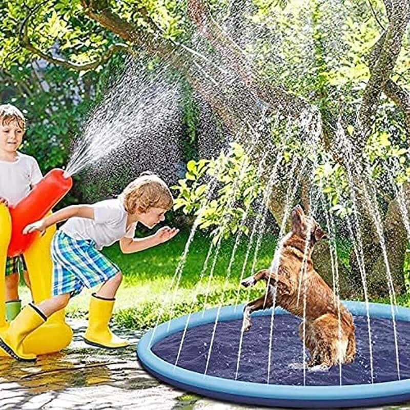 Dog playing in outdoor dog swimming mat splash pad while children spray water.