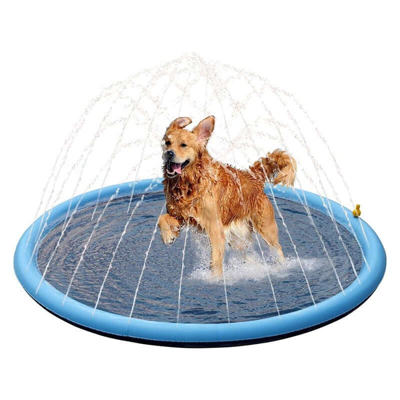 Dog playing in an anti-slip outdoor dog swimming mat splash pad with water spraying from above.
