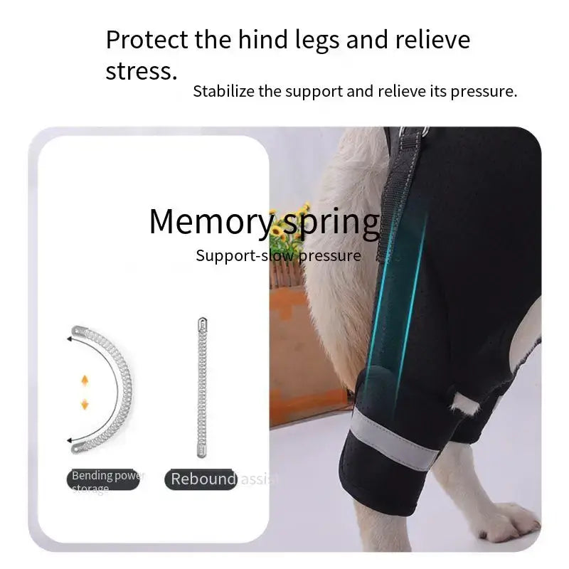 Dog Support Harness Elderly Dogs Adjustable Rehabilitation Mobility Aid Walk Comfortable Orthopedic Back Leg Lift Support Belt with Memory Spring