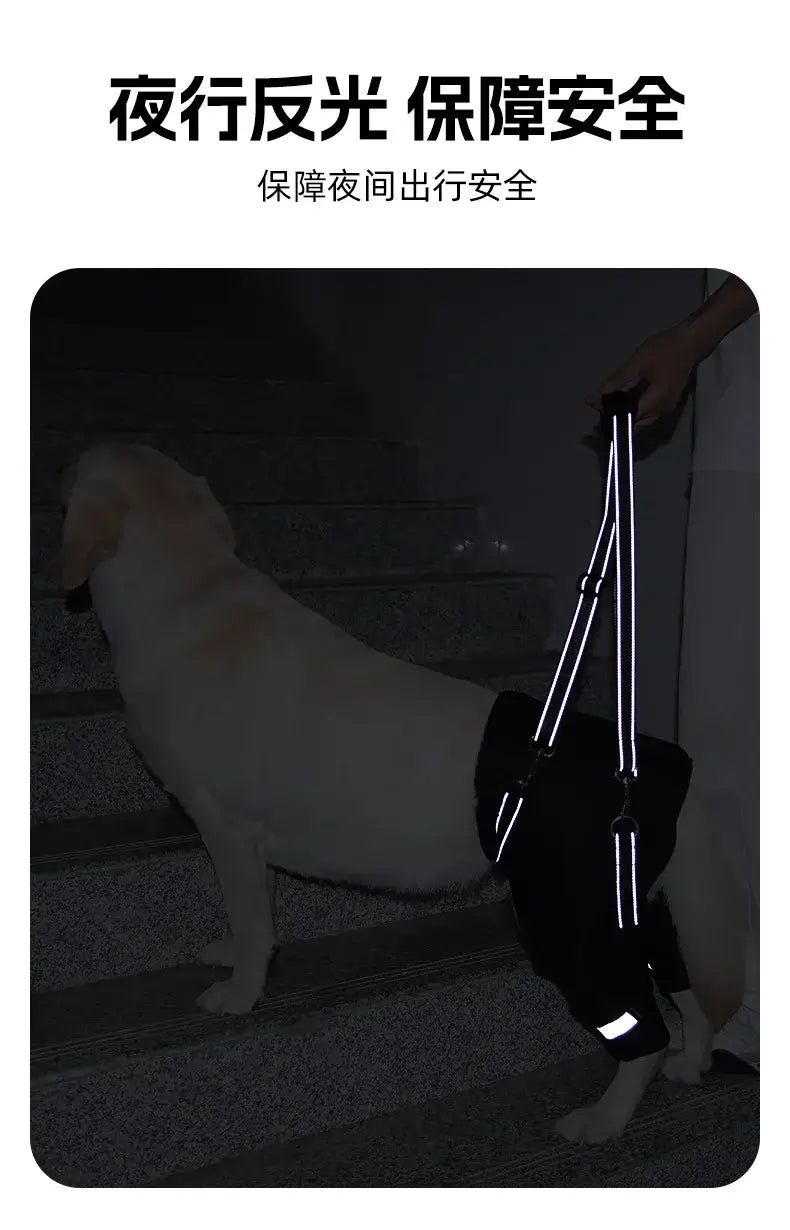 Dog Support Harness Elderly Dogs Adjustable Rehabilitation Mobility Aid Walk Comfortable Orthopedic Back Leg Lift Support Belt in use at night.