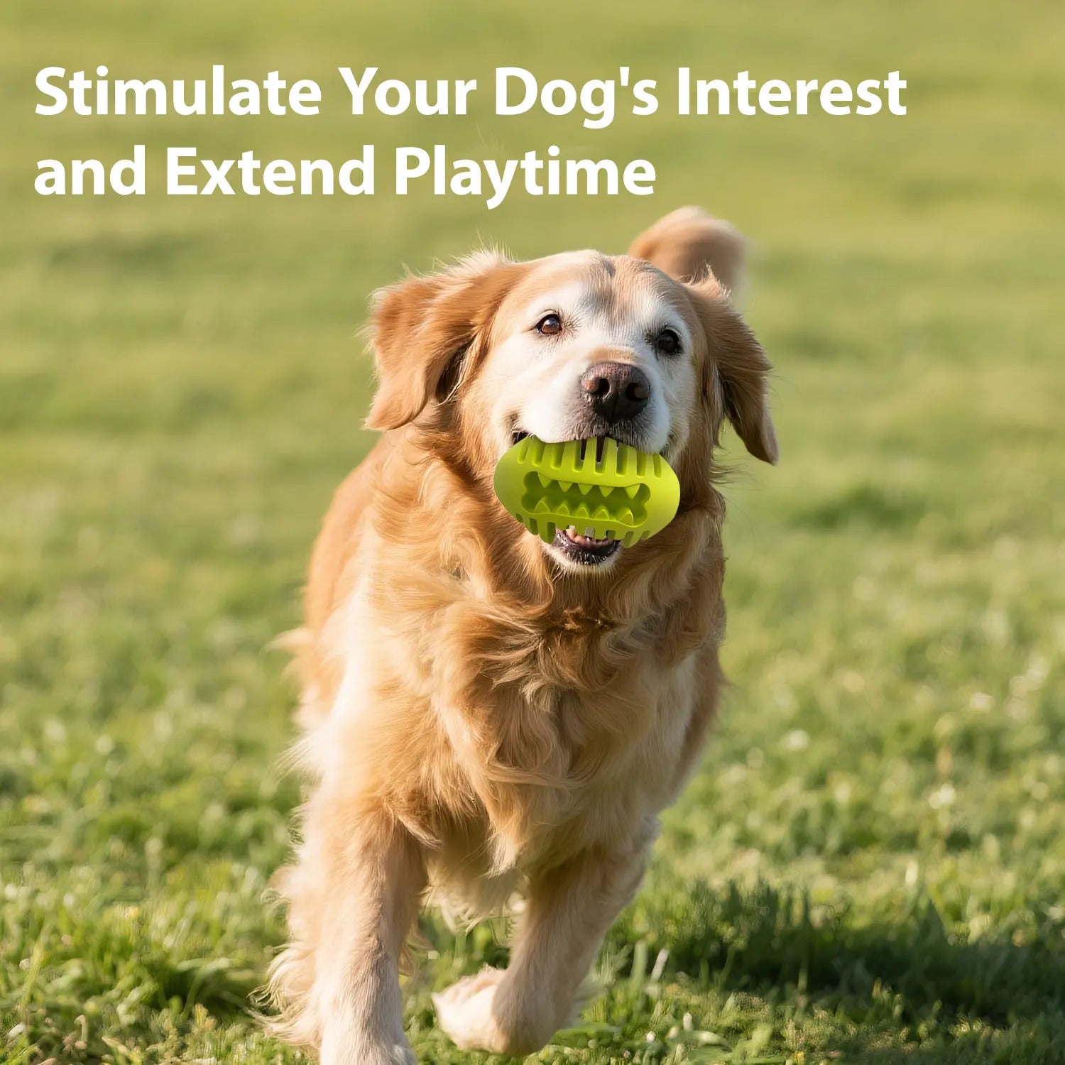 Dog Treat Rugby Ball for Medium/Large Dogs–Treat Dispensing,Teeth Cleaning&Anxiety Relief, Non-Toxic TPR for Aggressive Chewers