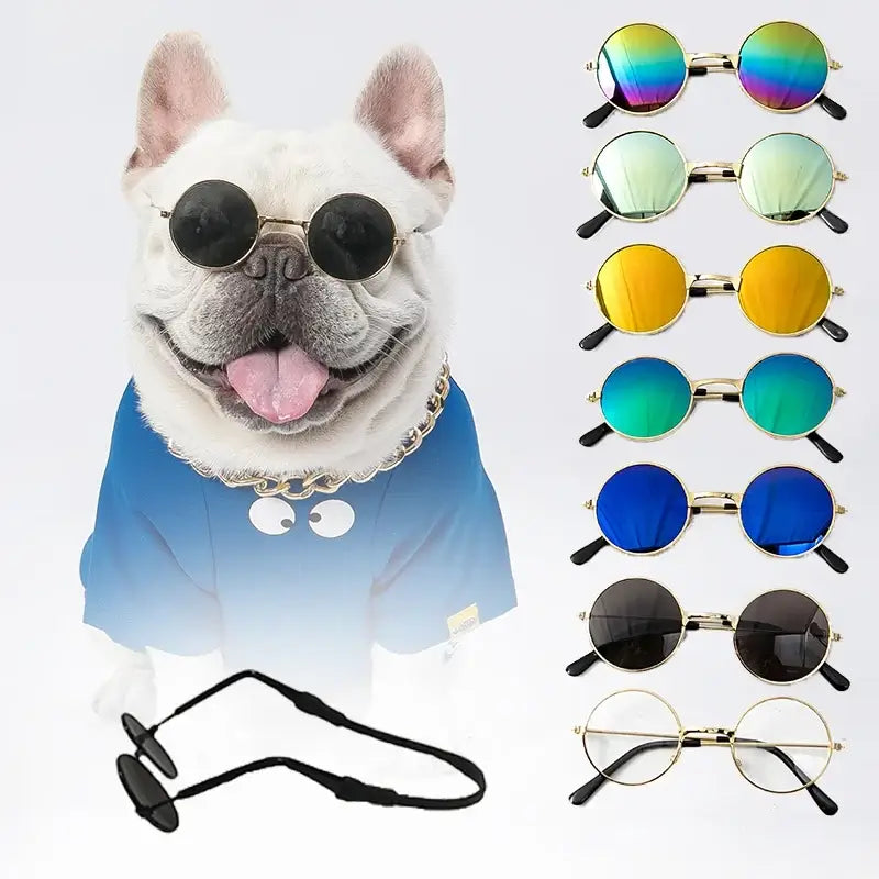 dog vintage round glasses for pets, round sunglasses for dogs and cats, vintage metal eyewear props