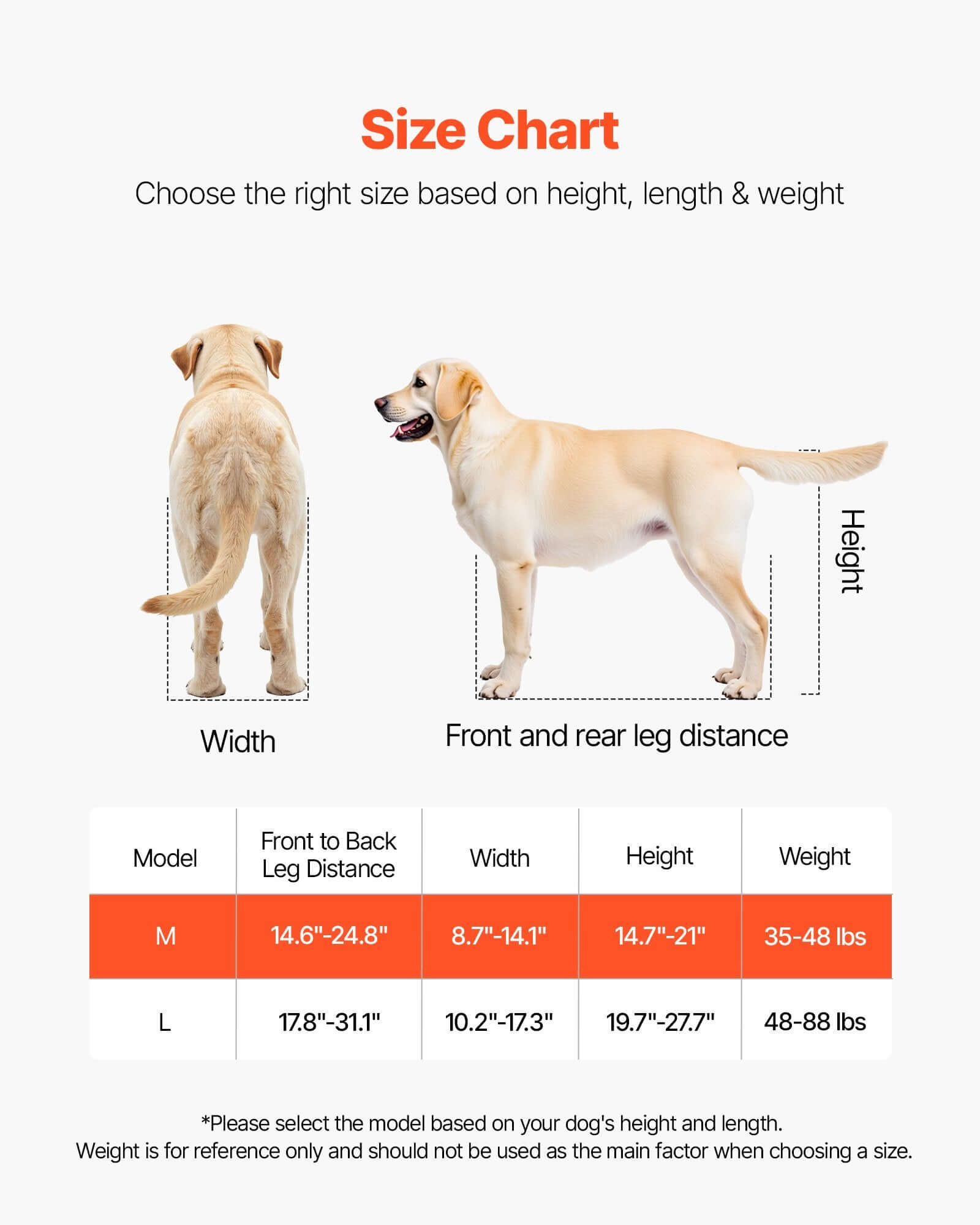 Size chart for medium dog wheelchair for back legs including measurements for width, height, and weight.