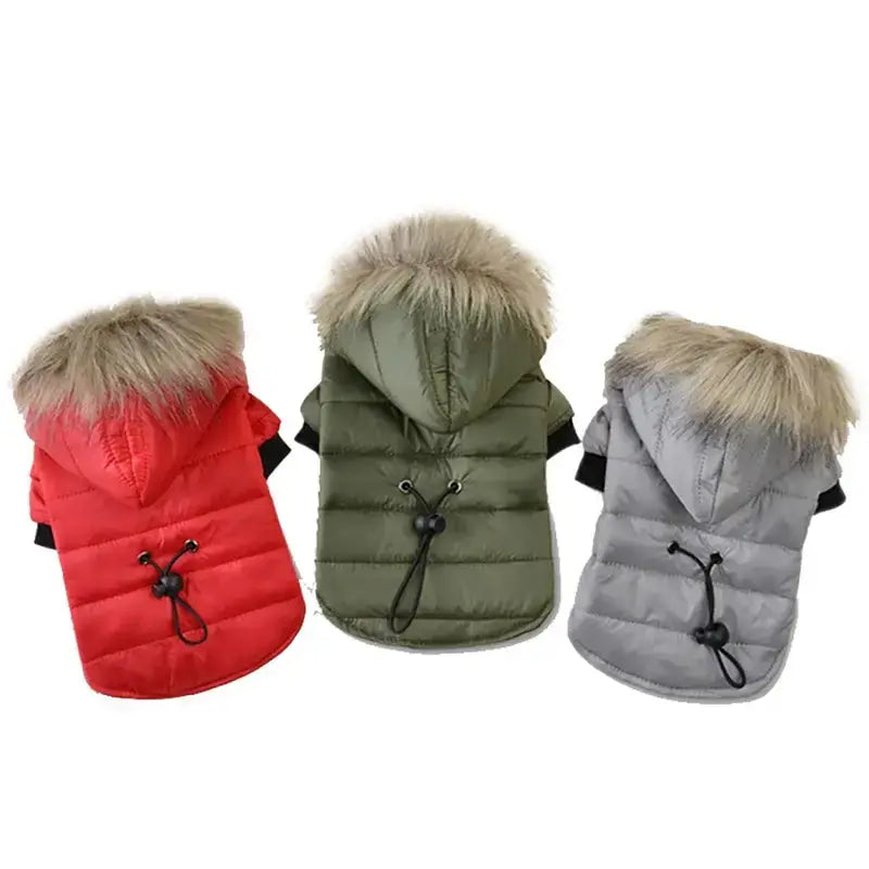 small dog winter jacket with fur hood in red, green, and gray for warm autumn and winter pet clothing