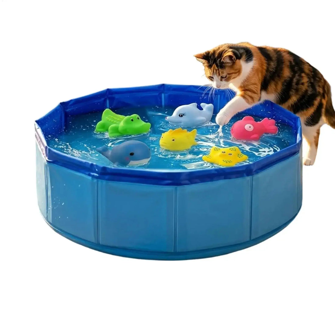 A playful cat interacting with colorful floating toys in a foldable dog bathing pool filled with water.