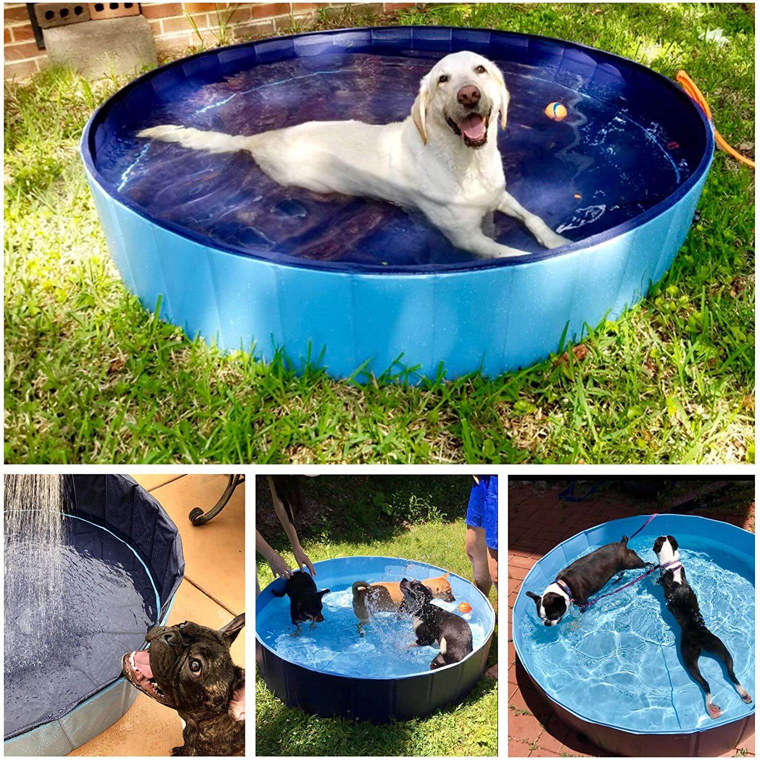 A happy dog relaxing in a foldable dog swimming pool set in a green lawn, showcasing an easy-to-use outdoor pet bath.