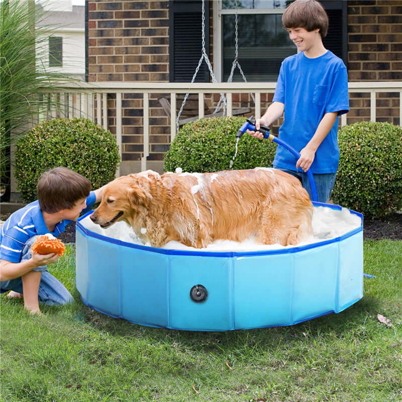 Foldable dog swimming pool in use with kids bathing a golden retriever outdoors, showcasing easy setup and portability.