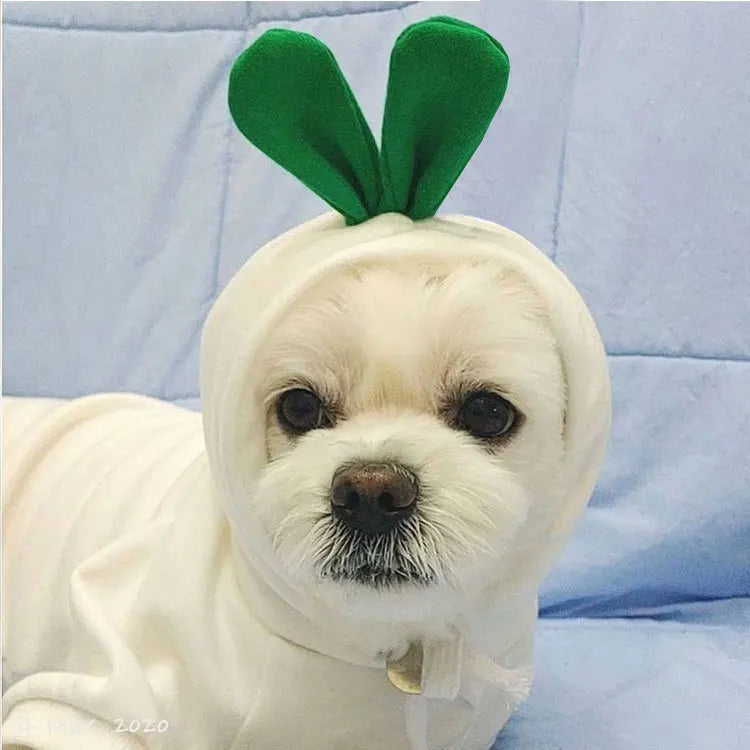 Pet Dog Clothes for Dogs Hoodies Funny Fruit Dog Coat Puppy Pet Clothing for Dogs Costume Chihuahua Yorkshire Ropa Perro