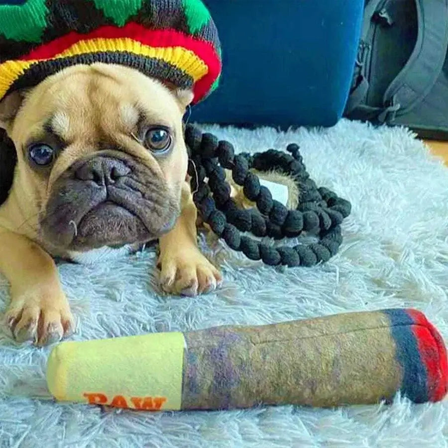 Funny Interactive Dog Toys - Cigar Design Plush Squeaky Pet Toys Grinding Teeth Creative Chew Toy For Small Medium Dog.