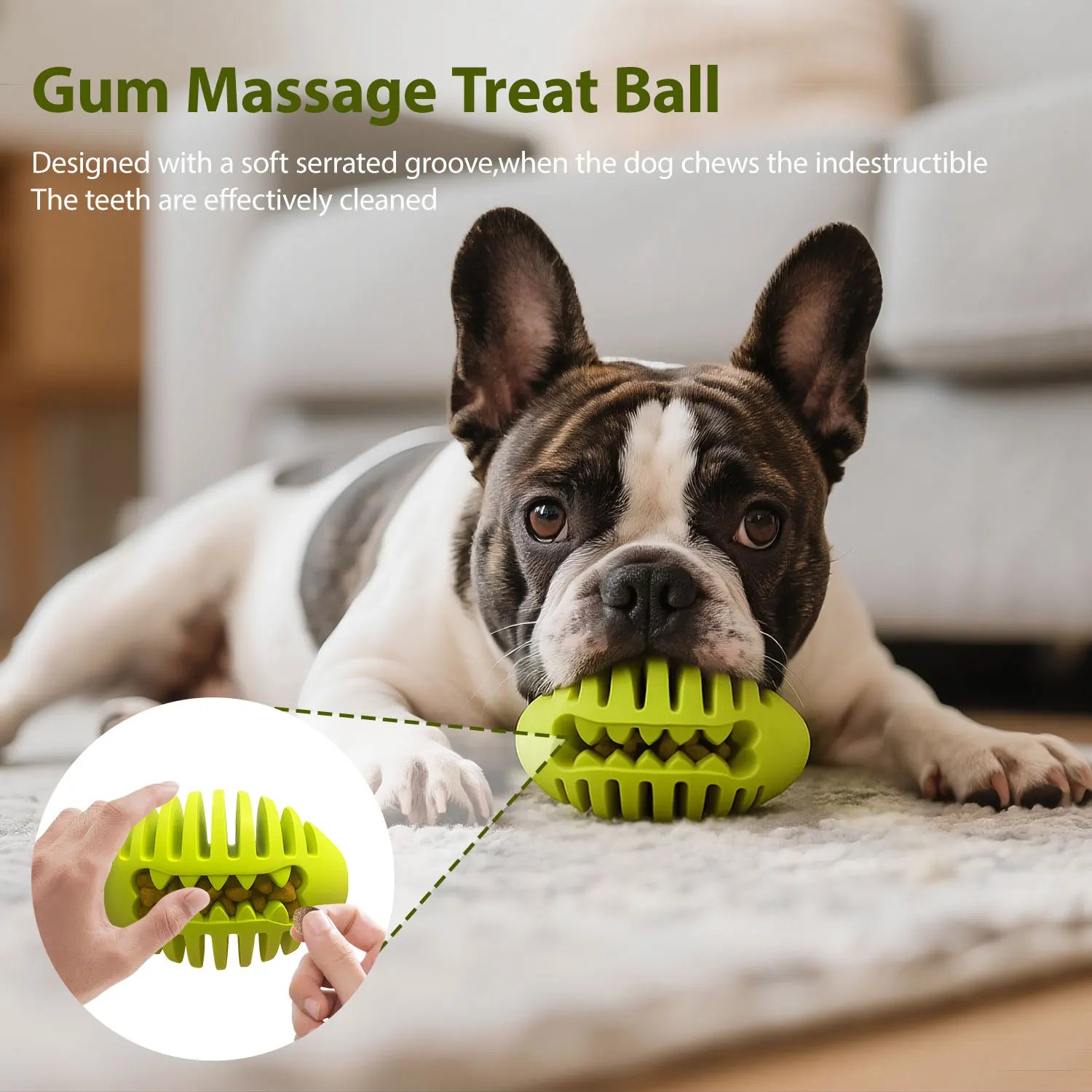 Dog chewing a Gum Massage Treat Ball designed for effective teeth cleaning and gum massage.
