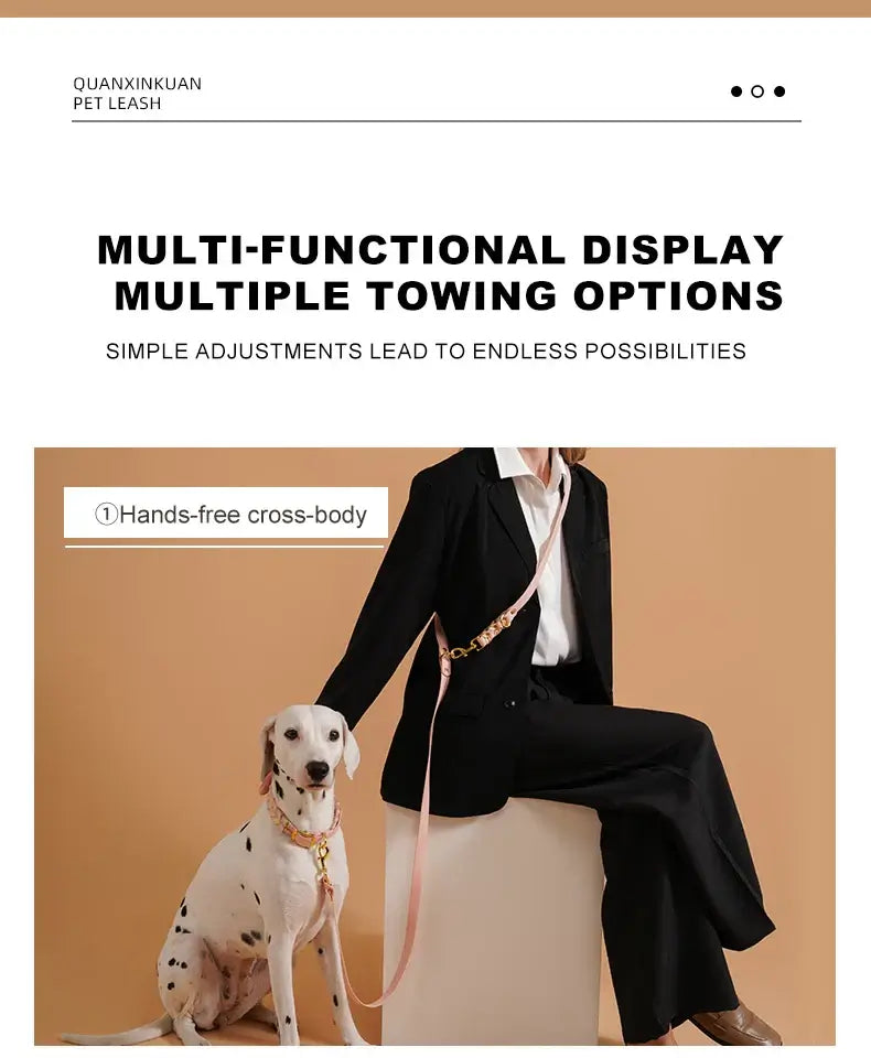 Dog Leashes Solid Durable And Super Tensile Force Dog Rope Colorful Multifunctional Luxury Handmade Leash For Medium Large Dogs